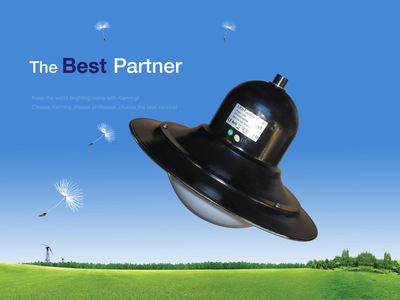 【供应LED庭院灯头 30W庭院灯】价格,厂家,图片,庭院灯,深圳市凯明实业-