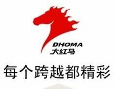 广东大红马实业