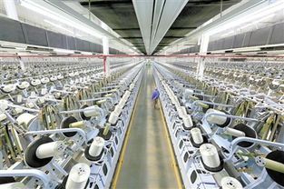 我市加快构建开放商务体系助推转型发展纪实