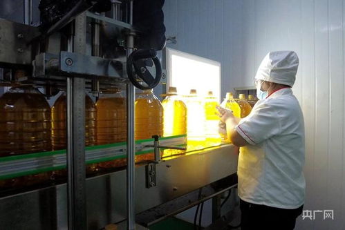 高质量发展 新 速度丨新疆高质量推动粮油产业集群建设