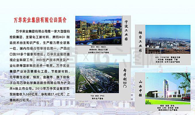 万华实业集团 以创新驱动发展的全球化实业公司典范